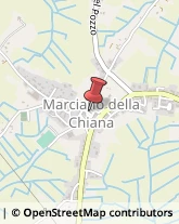 Farmacie Marciano della Chiana,52047Arezzo