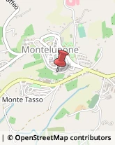 Aziende Agricole Montelupone,62010Macerata