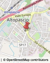 Logopedia Altopascio,55011Lucca