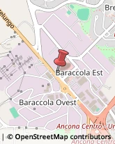 Articoli Sportivi - Dettaglio Ancona,60131Ancona