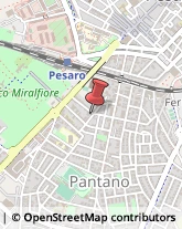 Consulenze Speciali Pesaro,61122Pesaro e Urbino