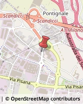 Trasporti Celeri,50018Firenze