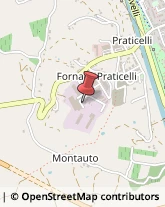 Imprese Edili,50051Firenze