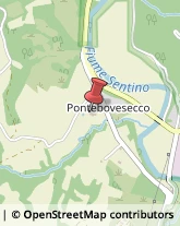 Pranoterapia - Benessere Genga,60040Ancona