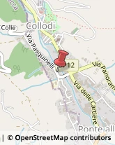 Abbigliamento Pescia,51017Pistoia