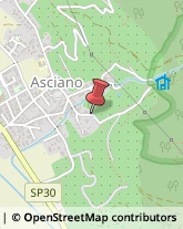 Aziende Agricole,56017Pisa