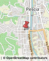 Accademie Pescia,51017Pistoia