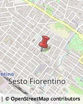 Gomma Articoli - Dettaglio Sesto Fiorentino,50016Firenze