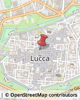 Frutta e Verdura - Ingrosso Lucca,55100Lucca