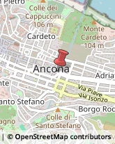 Librerie Ancona,60121Ancona