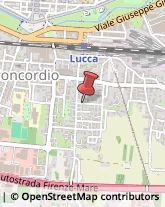 Trasporto Pubblico,55100Lucca