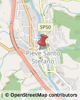 Corpo Forestale,52036Arezzo