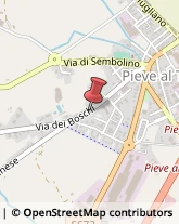 ,52041Arezzo