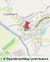 Frutta e Verdura - Dettaglio San Casciano in Val di Pesa,50026Firenze