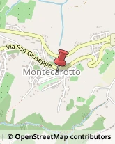 Istituti Finanziari Montecarotto,60036Ancona