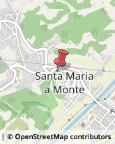 Agenzie di Animazione e Spettacolo Santa Maria a Monte,56020Pisa