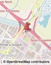 Concerie e Tintorie pellami e cuoio Sesto Fiorentino,50019Firenze