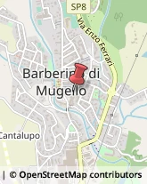 Macellerie Barberino di Mugello,50031Firenze