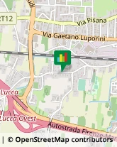 Assicurazioni,55100Lucca