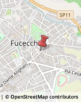 Abbigliamento Fucecchio,50054Firenze