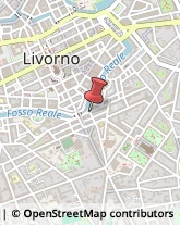 Motori Fuoribordo Livorno,57125Livorno