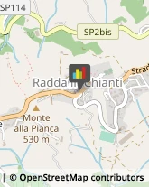 Vendite per Corrispondenza Radda in Chianti,53017Siena