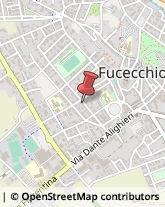 Tabaccherie Fucecchio,50054Firenze