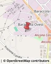 Fibre Ottiche Ancona,60131Ancona