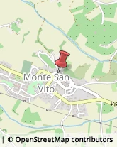 Miele Monte San Vito,60037Ancona