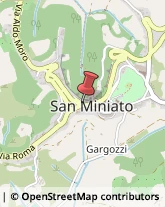 Farmacie San Miniato,56028Pisa