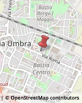 Articoli per Ortopedia Bastia Umbra,06083Perugia