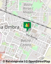 Articoli per Ortopedia Bastia Umbra,06083Perugia