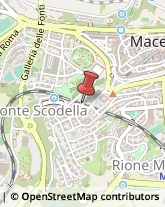 Uccelli Macerata,62100Macerata