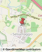 Macchine Ufficio - Noleggio, Commercio e Riparazione,53034Siena