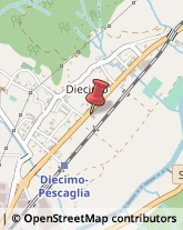 ,55023Lucca