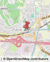 Istituti Finanziari Pieve a Nievole,51018Pistoia