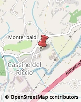 Aziende Agricole Firenze,50125Firenze