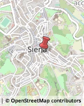 Teatri Siena,53100Siena