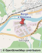 Imballaggi - Produzione e Commercio Borgo a Mozzano,55023Lucca