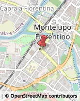 Brokers e Agenti di Assicurazione Montelupo Fiorentino,50056Firenze