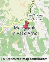 Alberghi Montopoli in Val d'Arno,56020Pisa