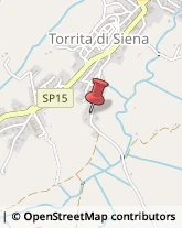 Recinzioni Torrita di Siena,53049Siena