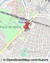 Profumerie Pesaro,61122Pesaro e Urbino