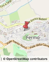 Ordini e Collegi Professionali Fermo,63900Fermo