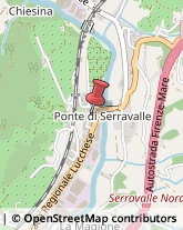 Articoli Sportivi - Dettaglio Serravalle Pistoiese,51034Pistoia