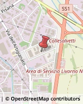 Autofficine e Centri Assistenza,57121Livorno