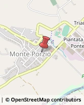 Maglieria - Produzione Monte Porzio,61040Pesaro e Urbino
