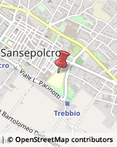 Ricerca Scientifica - Istituti Sansepolcro,52037Arezzo