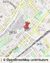 Perle Jesi,60035Ancona