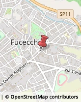 Pubblicità - Agenzie e Studi Fucecchio,50054Firenze